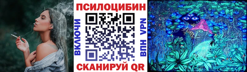 Псилоцибиновые грибы GOLDEN TEACHER  Купить  Порхов 